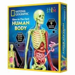 Anatomisæt - Bliv klogere på kroppen