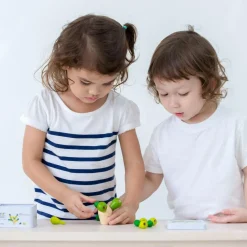 Balance kaktus mini