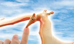 Balancerende flyveøgle, Pteranodon