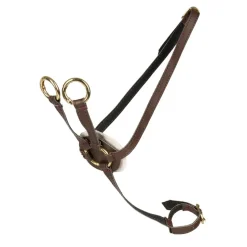 Cheval Roi tilbehør - Martingal, Brun/guld