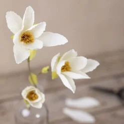 Crepepapir mini - Magnoliagren