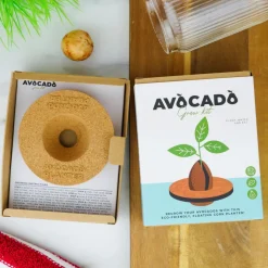 Dyrk din egen avocadoplante