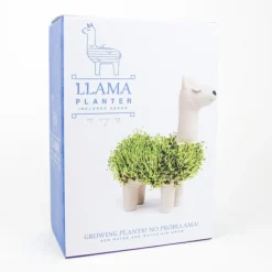 Dyrk en chia-lama