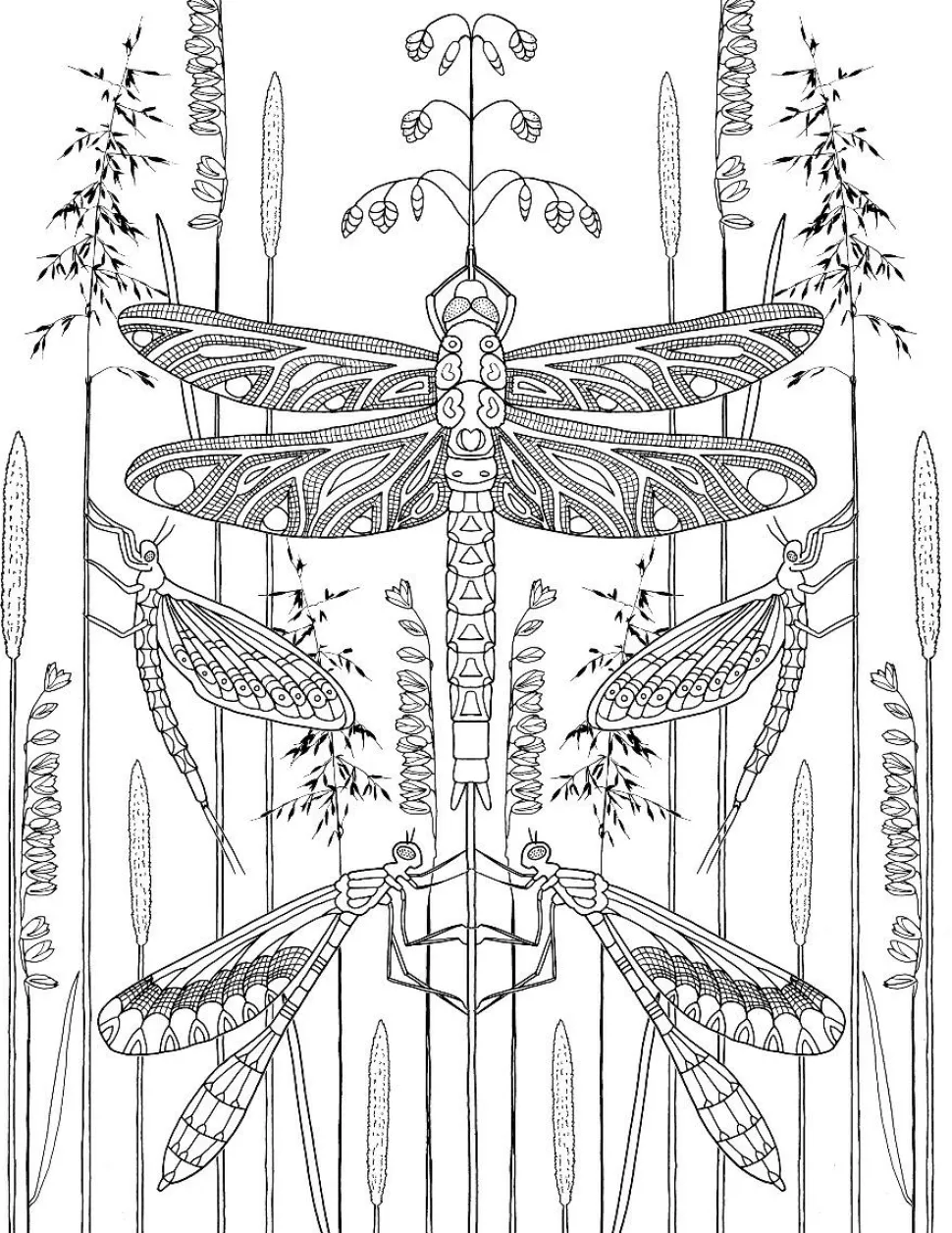 Farvelægningsbog - Insekter