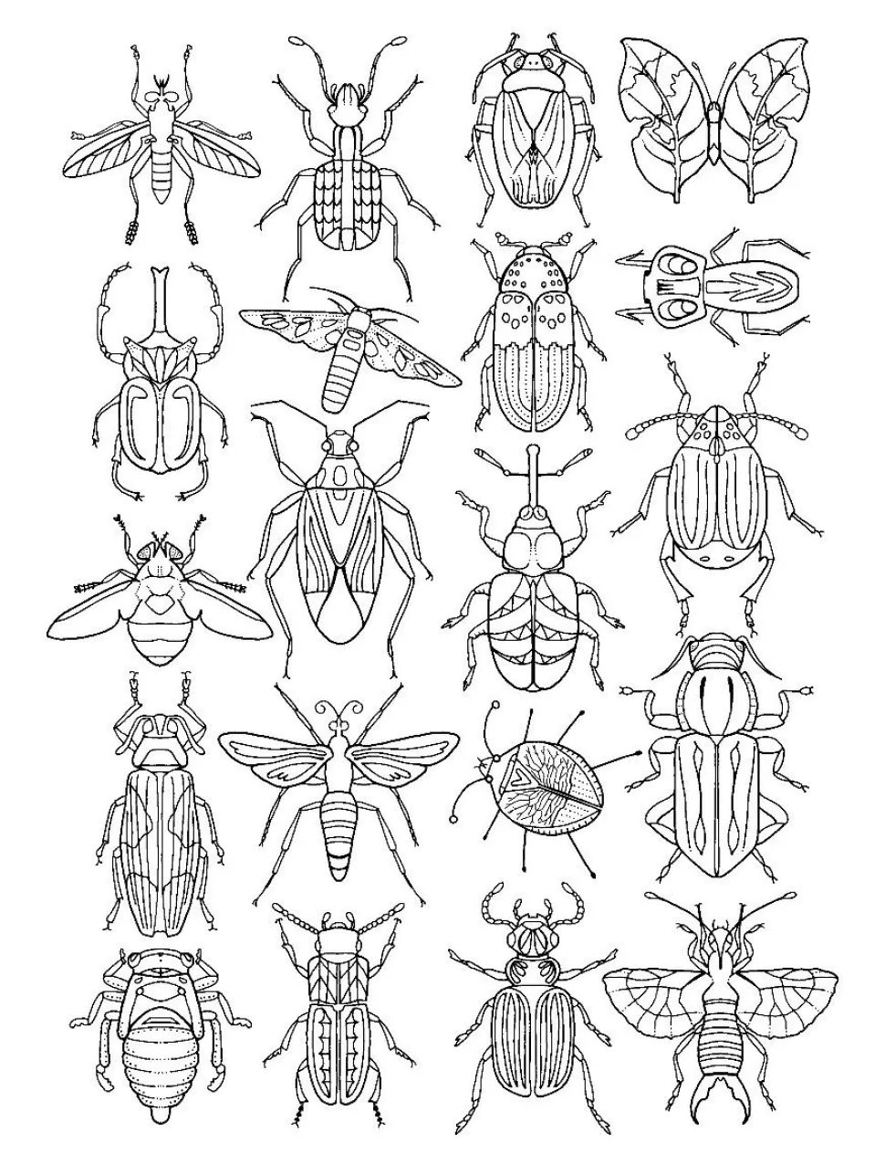 Farvelægningsbog - Insekter