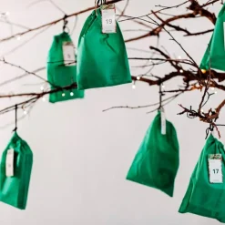 Forskerfabrikkens Julekalender - 24 dage