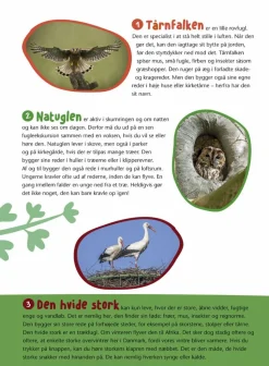Fugle i vores natur