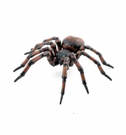 Husedderkop - L: 6,3 cm