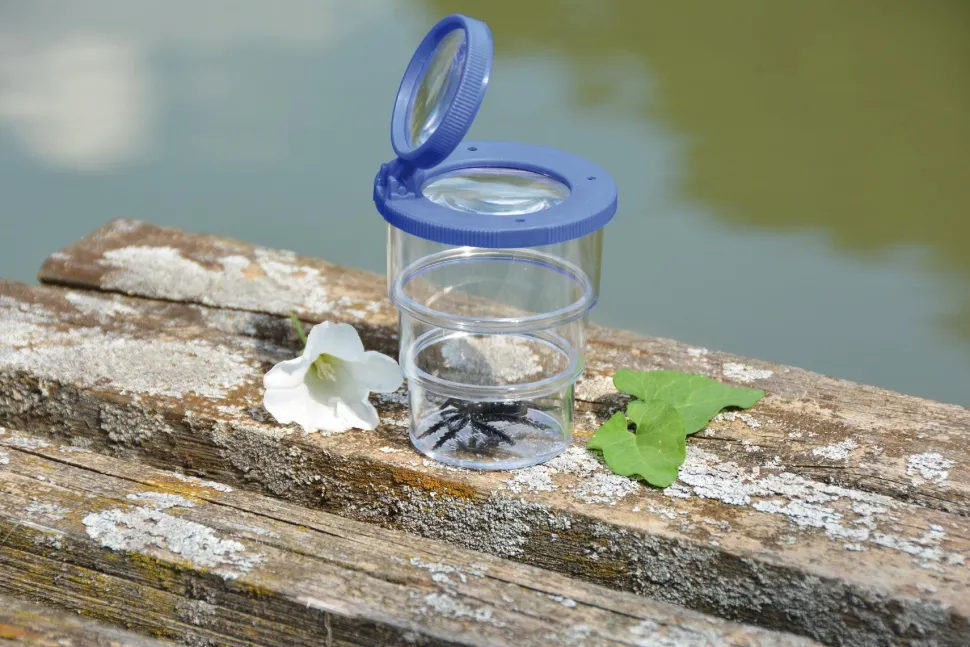 Insektglas, foldbart - Ø 7 cm.