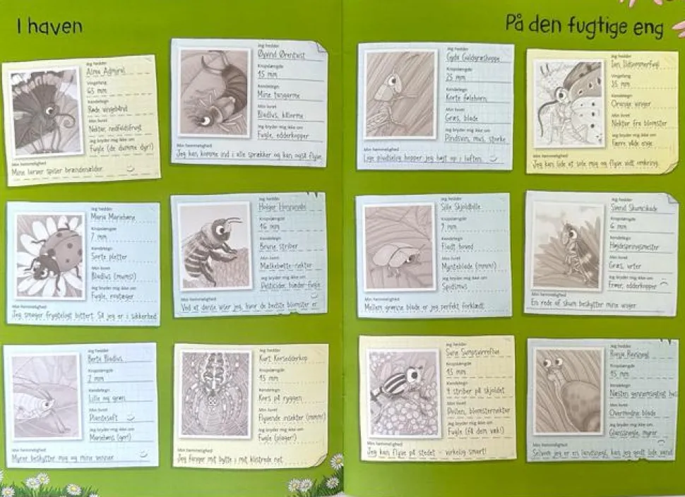 Klistermærkebog - Insekter og andre smådyr