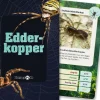 Kortspil - Edderkopper