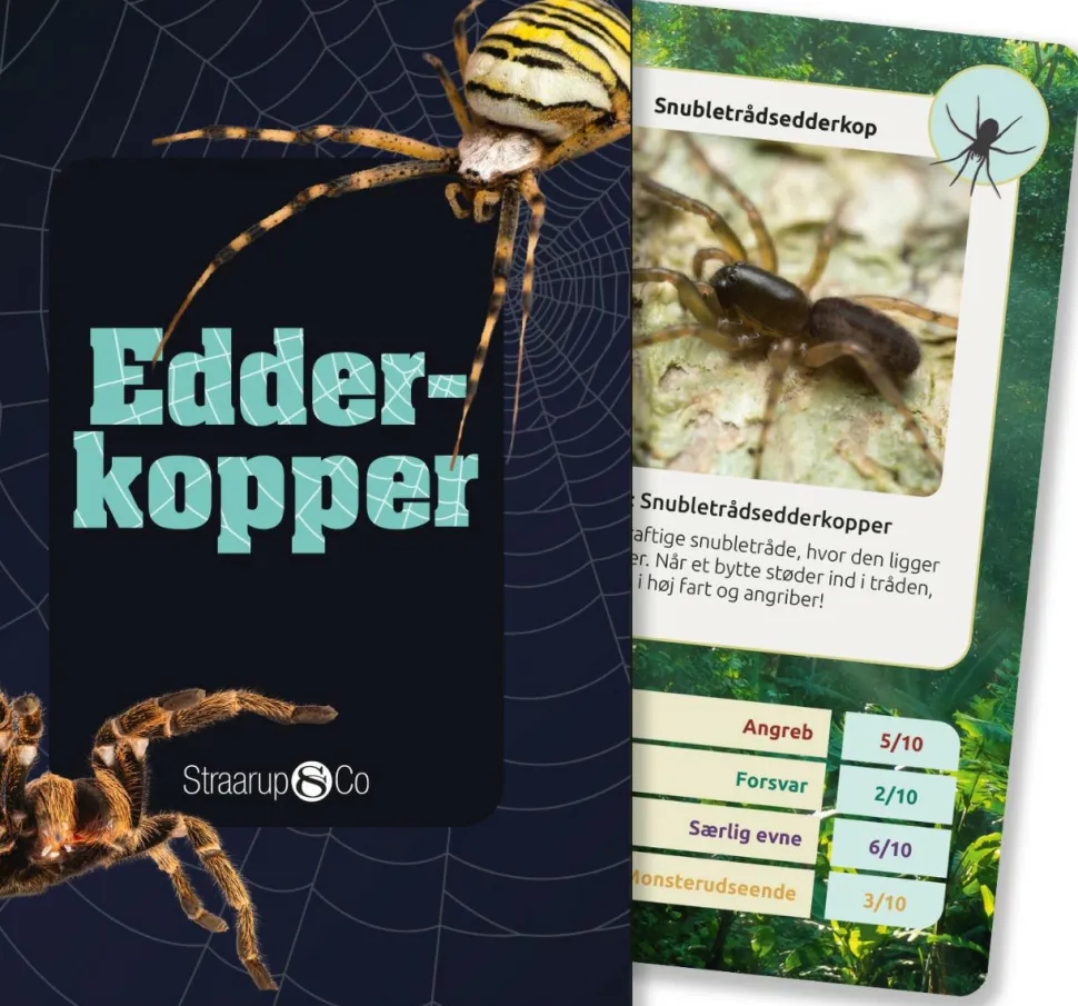 Kortspil - Edderkopper