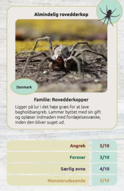 Kortspil - Edderkopper