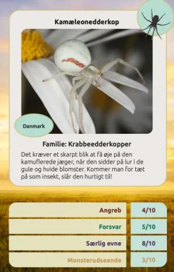Kortspil - Edderkopper