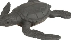 Livscyklus - Fra æg til havskildpadde
