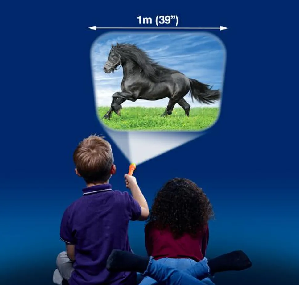 Lommelygte med dias - Hest