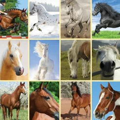 Lommelygte med dias - Hest