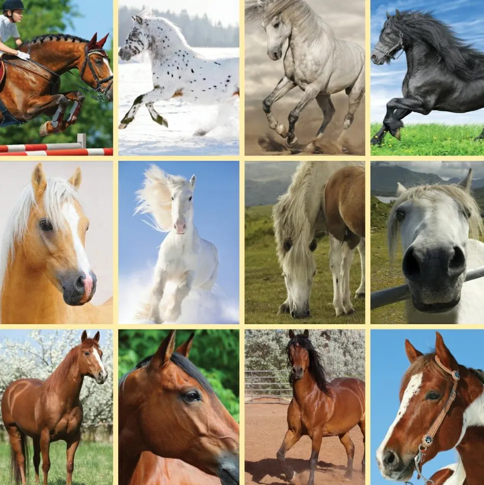 Lommelygte med dias - Hest