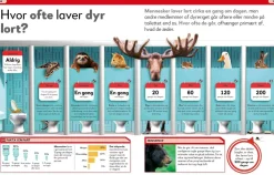 Lort! Skidesjove fakta om at lave stort