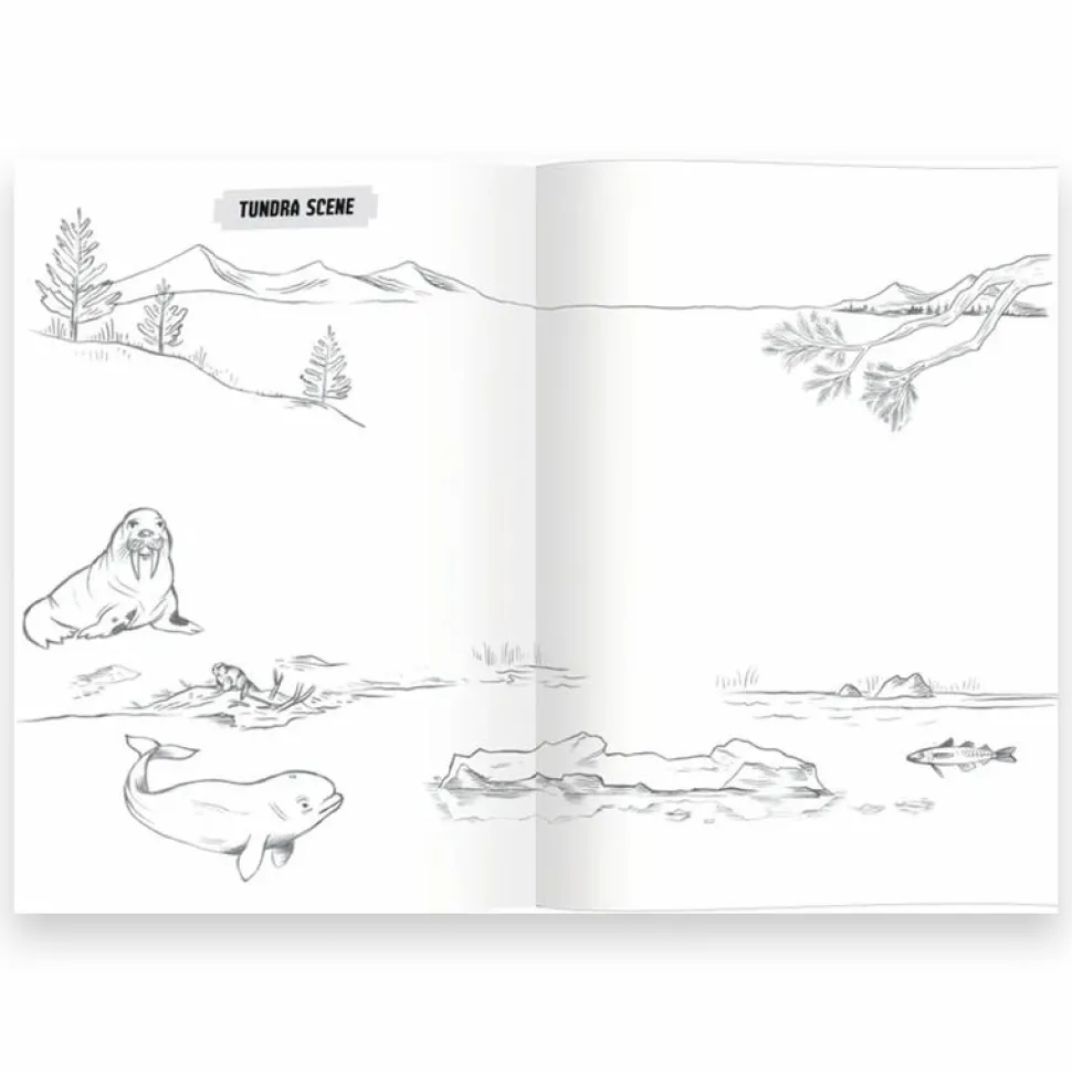 Lær at tegne - Vilde dyr
