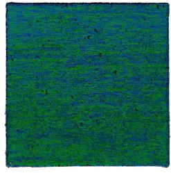 Sanseplade m. pailetter - Blå/Grøn