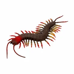 Skolopender - L: 23 cm