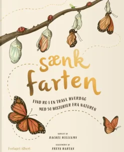 Sænk farten - Med 50 historier fra naturen