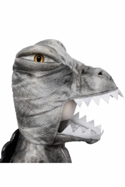 Spinosaurus, str. 4-6 år