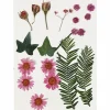 Tørrede blomster/blade - Lyserød, 19 ass.