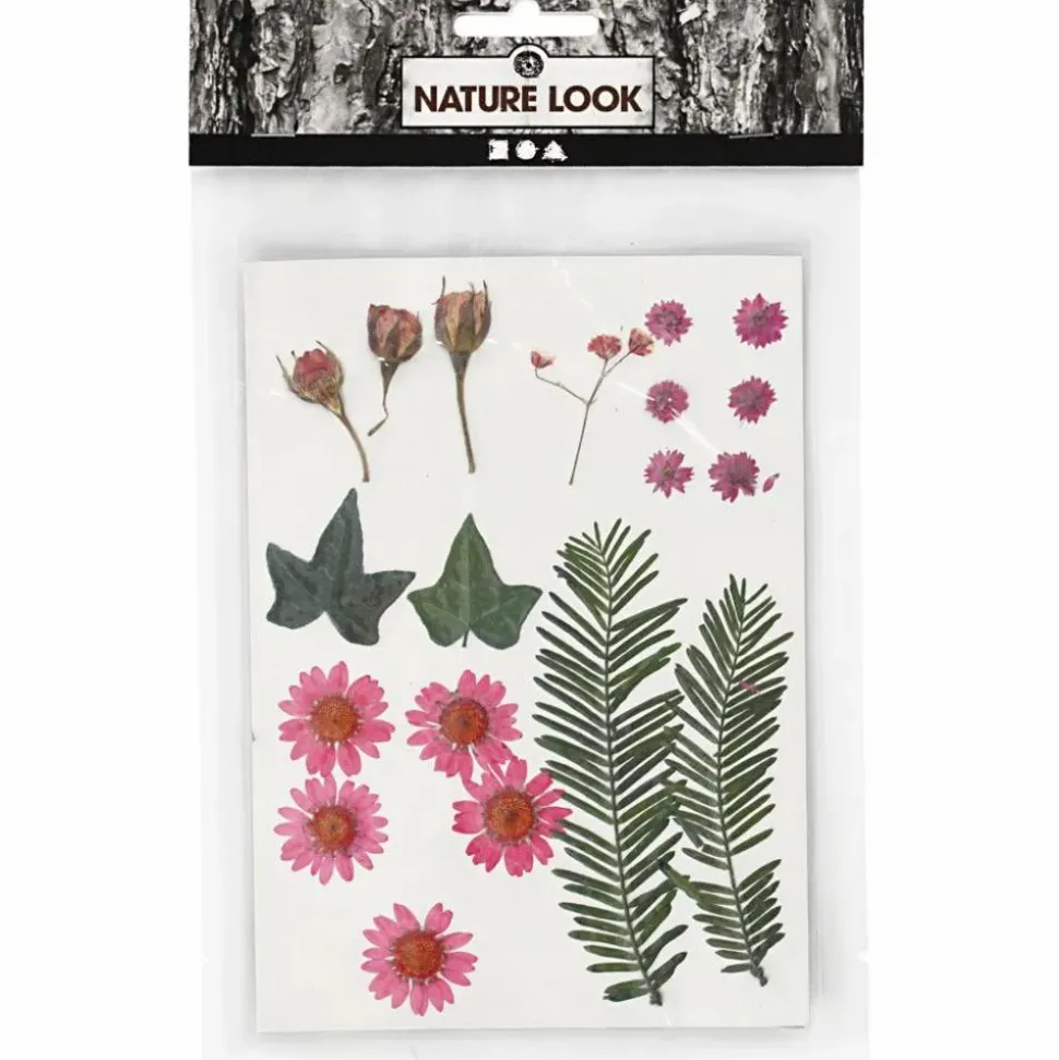 Tørrede blomster/blade - Lyserød, 19 ass.