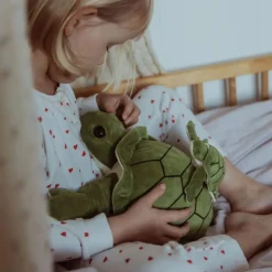 Tyngdedyr - Skildpadde 1,6 kg