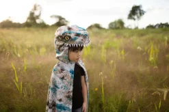 Velociraptor, str. 4-6 år