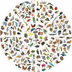 Vildkatten - Animals